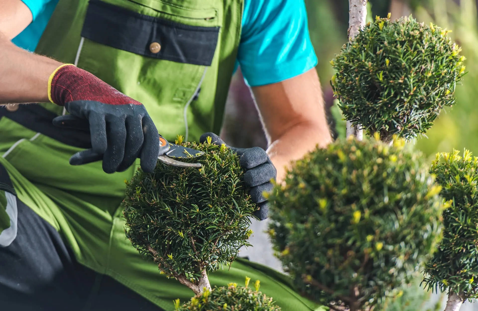 Gartenservice – Attar Dienstleistungen in Kirn